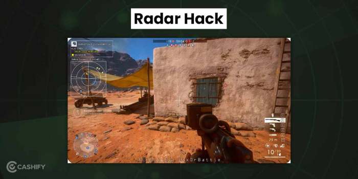 Online game hacks